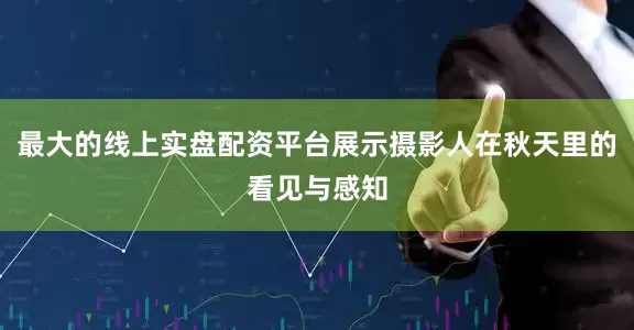 最大的线上实盘配资平台展示摄影人在秋天里的看见与感知