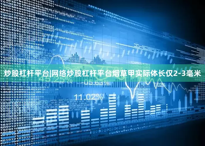 炒股杠杆平台|网络炒股杠杆平台烟草甲实际体长仅2-3毫米